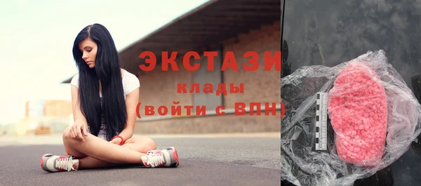 индика Гусь-Хрустальный